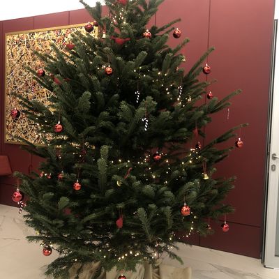 Notice small actions